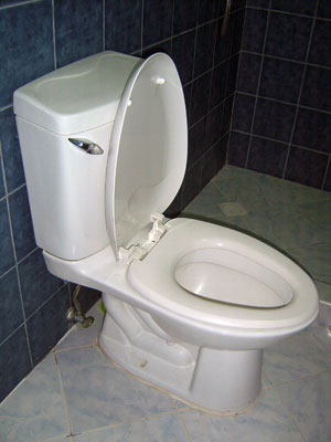 toilet-bowl The most watched bowl in the land.