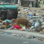 Chile vs Haiti: A quick comparison